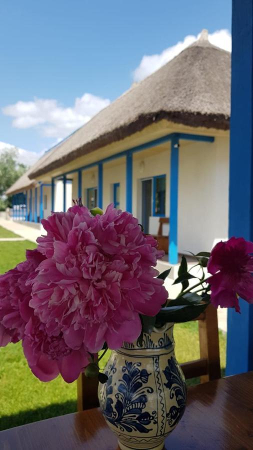 Stuffino Crisan Villa Exterior foto